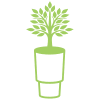 Processo de germinação
