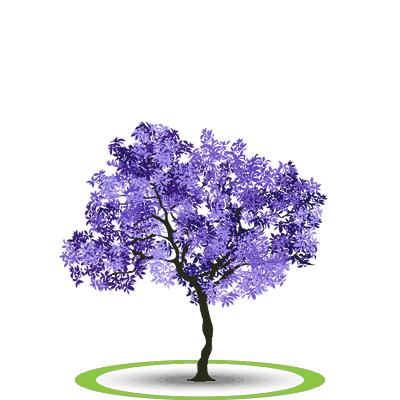 BioParque | Jacarandá