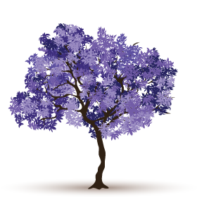 Jacarandá