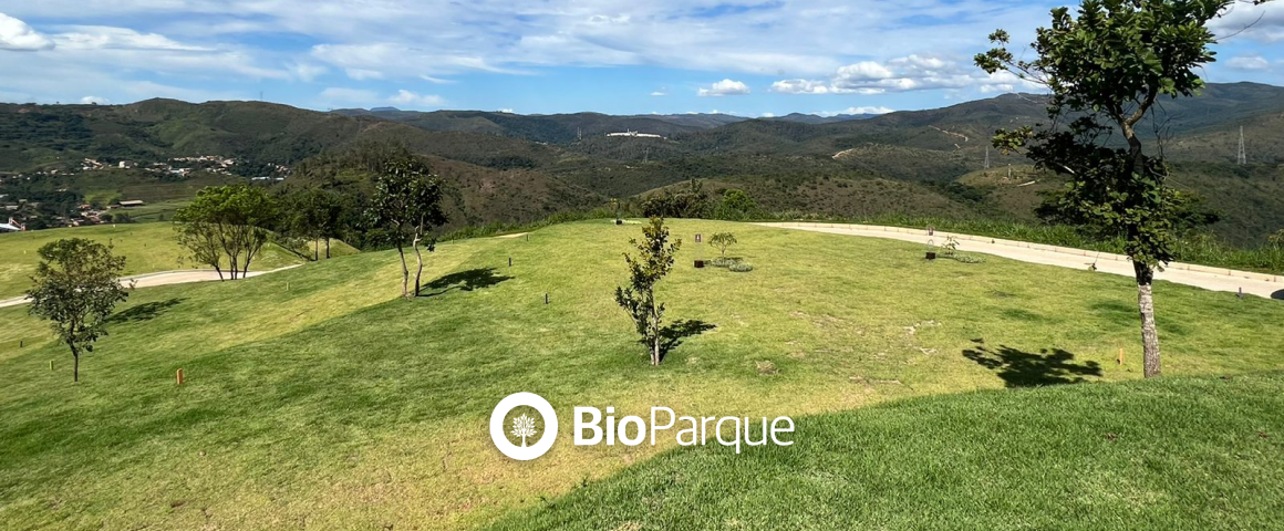 Dia Mundial do Meio Ambiente – Unindo esforços em prol da vida!