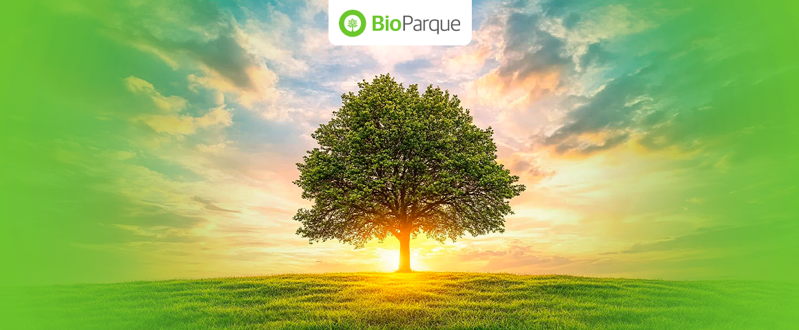 BIOPARQUE:  INOVAÇÃO E PRESERVAÇÃO DAS MEMÓRIAS